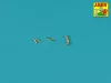 Aber Models 1:16 Set of barrel's tips for two German machine guns MG 42