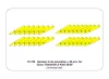 Aber Models 1:16 2-cm ammo x 30 pcs. for German Guns: Flak30/38 & KwK 30/38