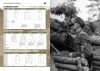 AK Interactive Waffen-ss Camouflage Uniforms EN