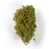 AK Interactive SPRING FILIGREE BUSHES