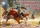 ALLIANCE 1:72 Southern Kingdom Warriors. Set 2. Heavy Cavalry