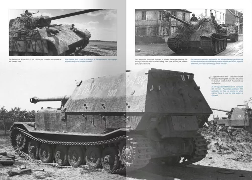 Ammo by Mig How to Paint Mid WWII German Tanks (FEB 1943 - SEP 1944) (English, Spanish)