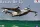 Amodel 1:144 Beriev Be-14 Soviet rescue aircraft