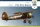 Arma Hobby 1:72 PZL P.11c Kresy Model Kit