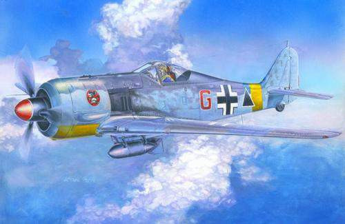 Mistercraft 1:72 Fw-190F-2 Schlachtflugzeuge