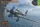 Clear Prop Models 1:144 Ki-51 Sonia (2 in box) Reconnaissance