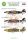 ASK decal 1:48 Hawker Hurricane Mk.I part 1 - Italian / Jugoslavian AF