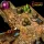 Archon Studio Dungeons & Lasers Dwarven Mine Half-Height Walls