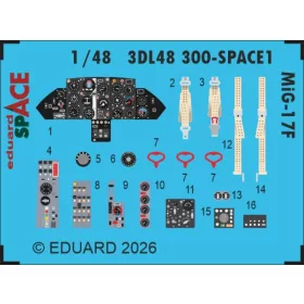 Eduard 1:48 MiG-17F SPACE for Kinetic