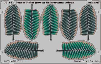Eduard 1:72 Leaves Palm Howea Belmoreana colour