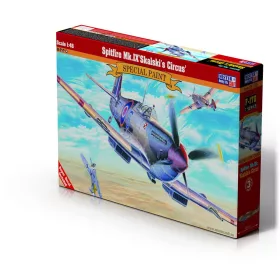 Mistercraft 1:48 Spitfire Mk.IX Skalski Circus