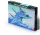 Mistercraft 1:48 F-14A Tomcat "Two Tailed Lion