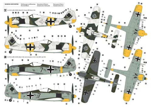 Hobby 2000 1:32 Focke-Wulf Fw 190 A-6 Eastern Front