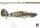 Hobby 2000 1:48 Hawker Hurricane Mk.IIA