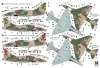 Hobby 2000 1:48 Douglas A-4N Skyhawk AYIT Early
