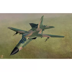 Hobby Boss 1:48 F-111D/E Aardvark
