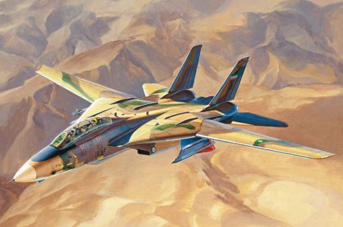 Hobbyboss 1:48 IRIAF F-14A Tomcat ”Persian Cat” repülő makett