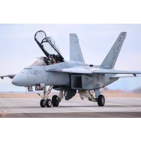 Hobby Boss 1:48 F/A-18F Super Hornet