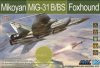 SIO Models 1:48 MiG-31 B/BS Special Edition