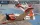 Kittyhawk KH32014 1:32 T-28B/D Trojan