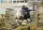 Kittyhawk KH50003 1:35 AH-6J/MH-6J ”Little Bird”