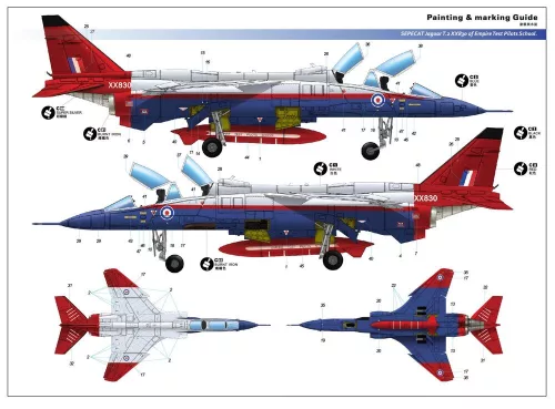 Kitty Hawk 1:48 Sepecat Jaguar T.2/T.4