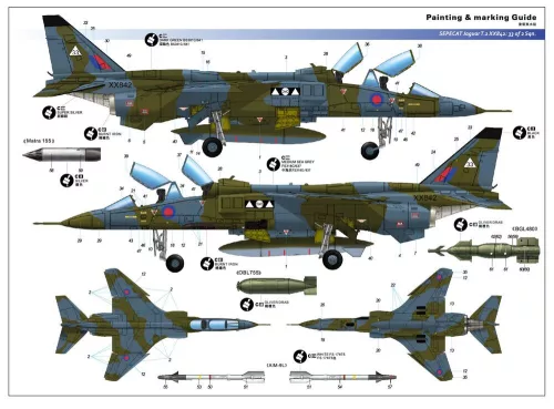 Kitty Hawk 1:48 Sepecat Jaguar T.2/T.4