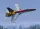 KINETIC 1:48 CF-188A RCAF 20 years services