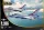 KINETIC 1:48 F-16C Thunderbirds