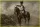 Master Box 1:32 Napoleonic Wars Era. The Old Guard Officer