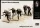 Master Box 1:35 German Signals Personnel Stalingrad Summer 1942