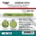 Mirage Hobby MIRAGE Sanding Stick Double Grid 100/150