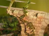 Matho Models 1:35 Plants & Weeds A
