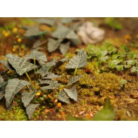 Matho Models 1:35 Plants & Weeds E