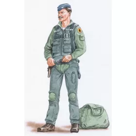 Plus model 1:48 Pilot F105