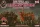 Red Box 1:72 Militia+Loyalist Troops 1745,Jacobite R.