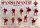 Red Box 1:72 Spanish infantry, 16th century, set 2