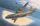 Roden 1:72 An-12 BK-PPS