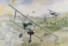 Roden 1:48 Arado Ar 68E