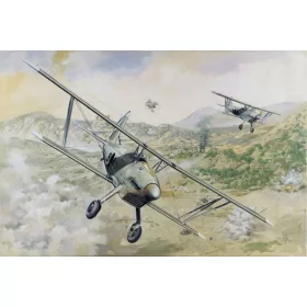 Roden 1:48 Arado Ar 68E