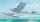 Roden 1:32 L-19/O-1 Bird Dog Floatplane
