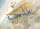 Roden 1:32 Sopwith 11/2 Strutter