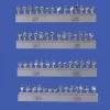 Royal Model 1:48 Assorted hands