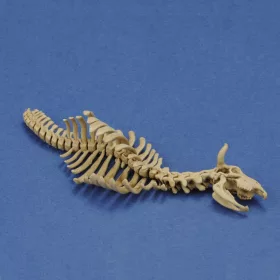 Royal Model 1:35 Cow skeleton n.1 3D printed