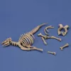 Royal Model 1:35 Cow skeleton n.3
