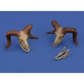 Royal Model 1:35 Mufflon skulls 3D printed