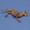 Royal Model 1:35 Donkey carcass
