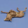 Royal Model 1:35 Donkey carcass