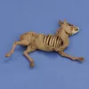 Royal Model 1:35 Donkey carcass