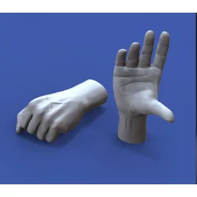 Royal Model 1:16 Assorted hands set No. 3